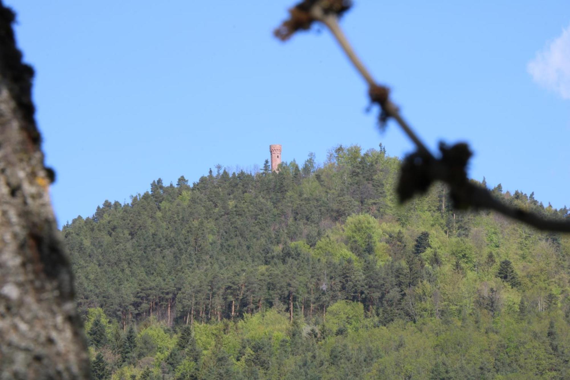 Chambres D'Hotes Les Ecrins Orbey Buitenkant foto